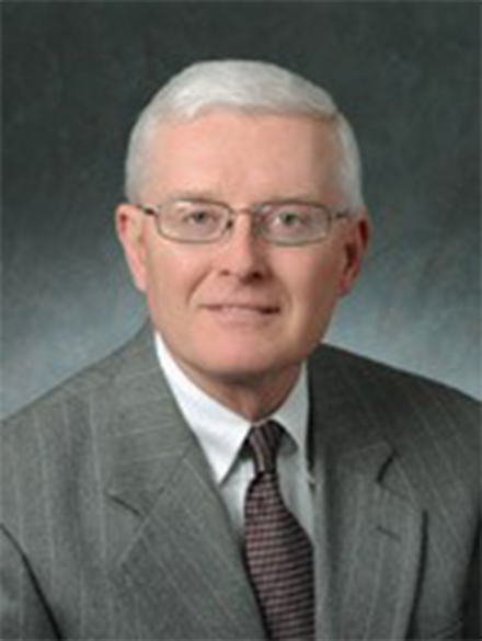 David Higgs  Vice Chair